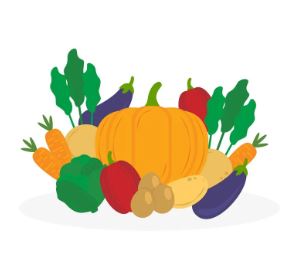 সুন্দরবন অর্গানিক খাবার