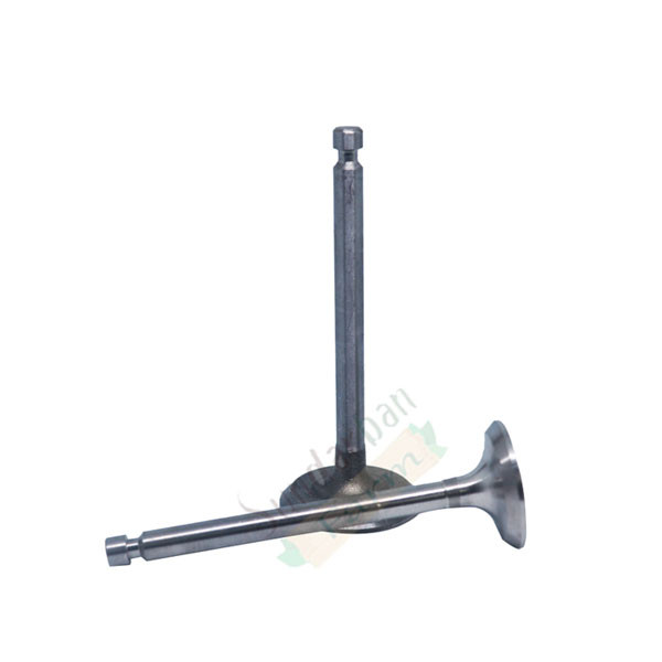 ৭ হর্স ডিজেল মিনি টিলার ভাল্ব গাইড ১৭৮ এফ ইঞ্জিন